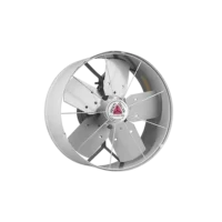 Exaustor 30cm Cinza 127V