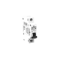 Disjuntor Din 1P 20A