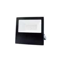 Refletor Led 30W Azul